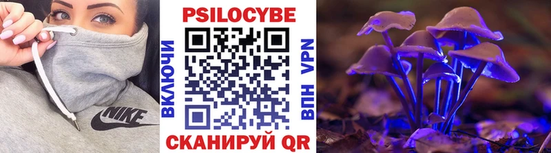 Псилоцибиновые грибы GOLDEN TEACHER  Купить где  Малмыж 